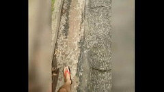 Mijando na rua e andando com o pau duro pra fora Thumb